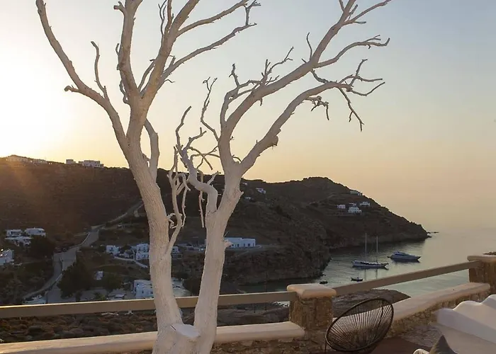 Lyo Boutique سوبر بارادايس بيتش