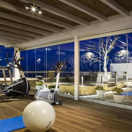 Lyo Boutique Hotel Super Paradise Beach (Mykonos)